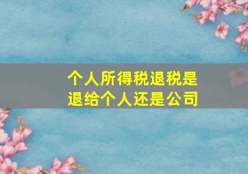 个人所得税退税是退给个人还是公司