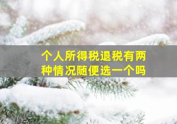 个人所得税退税有两种情况随便选一个吗