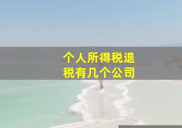 个人所得税退税有几个公司