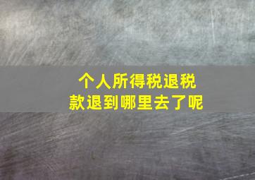 个人所得税退税款退到哪里去了呢