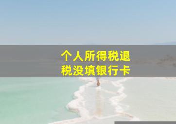 个人所得税退税没填银行卡