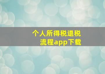 个人所得税退税流程app下载