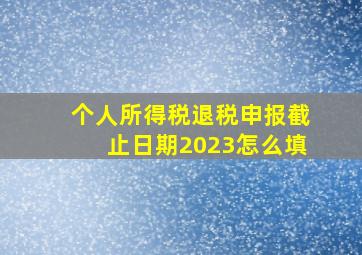 个人所得税退税申报截止日期2023怎么填