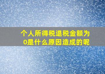 个人所得税退税金额为0是什么原因造成的呢