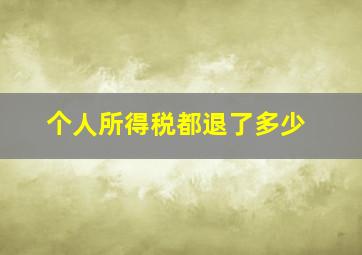 个人所得税都退了多少