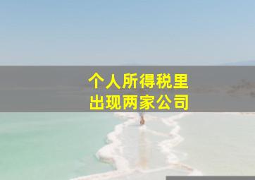 个人所得税里出现两家公司