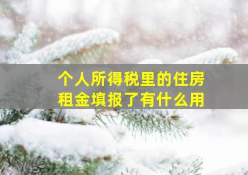 个人所得税里的住房租金填报了有什么用