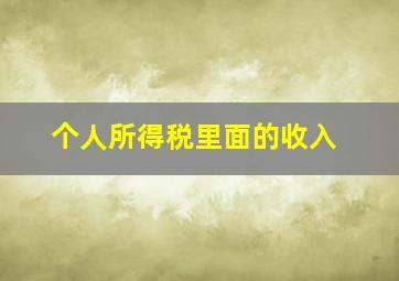 个人所得税里面的收入