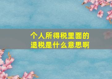 个人所得税里面的退税是什么意思啊