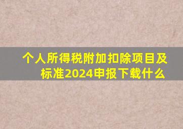 个人所得税附加扣除项目及标准2024申报下载什么