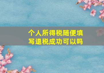 个人所得税随便填写退税成功可以吗