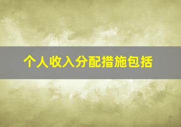 个人收入分配措施包括