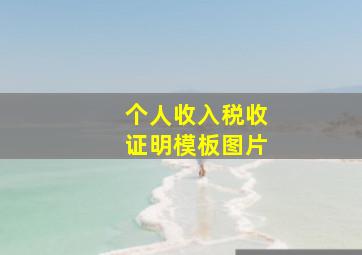 个人收入税收证明模板图片