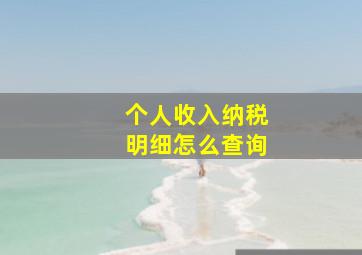 个人收入纳税明细怎么查询