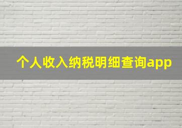 个人收入纳税明细查询app