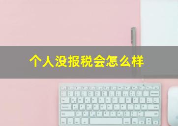 个人没报税会怎么样