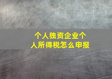 个人独资企业个人所得税怎么申报