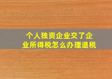 个人独资企业交了企业所得税怎么办理退税