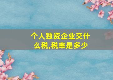 个人独资企业交什么税,税率是多少