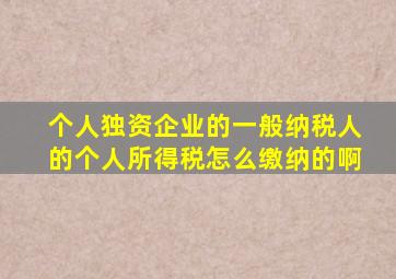 个人独资企业的一般纳税人的个人所得税怎么缴纳的啊