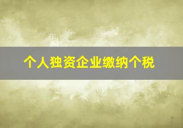 个人独资企业缴纳个税