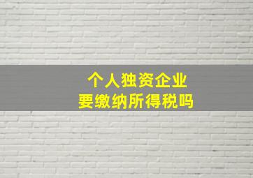 个人独资企业要缴纳所得税吗