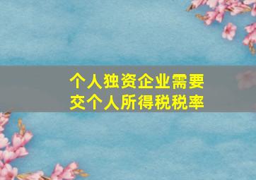 个人独资企业需要交个人所得税税率