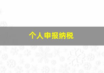 个人申报纳税