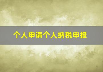 个人申请个人纳税申报