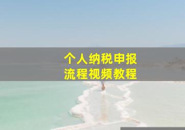 个人纳税申报流程视频教程