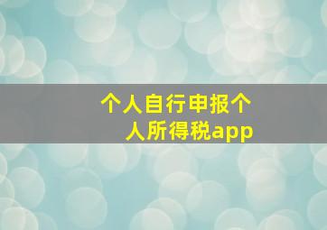 个人自行申报个人所得税app