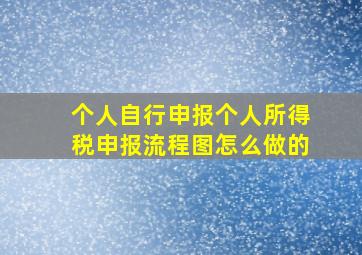 个人自行申报个人所得税申报流程图怎么做的