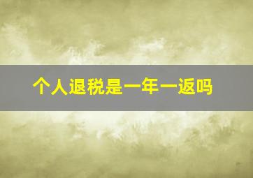 个人退税是一年一返吗