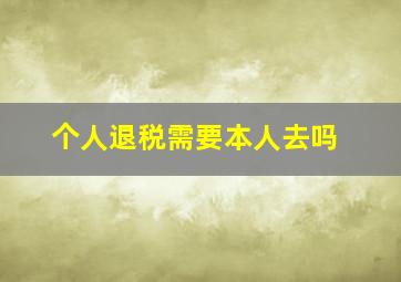 个人退税需要本人去吗