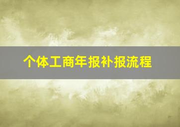 个体工商年报补报流程