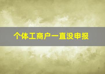 个体工商户一直没申报