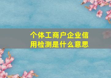 个体工商户企业信用检测是什么意思