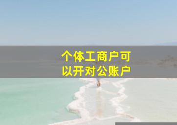 个体工商户可以开对公账户