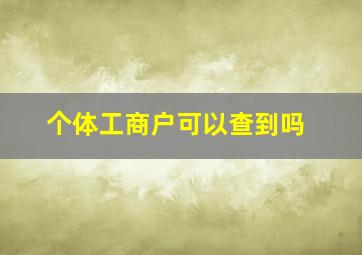 个体工商户可以查到吗