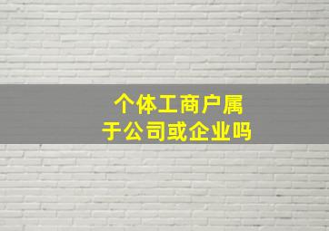 个体工商户属于公司或企业吗