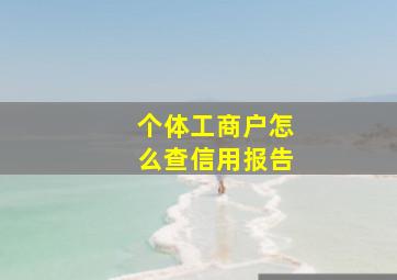 个体工商户怎么查信用报告