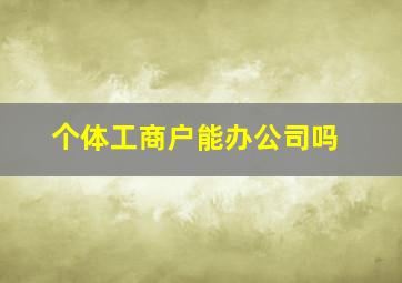 个体工商户能办公司吗