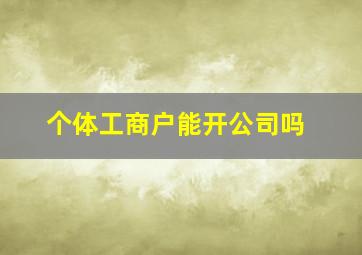 个体工商户能开公司吗