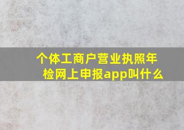 个体工商户营业执照年检网上申报app叫什么