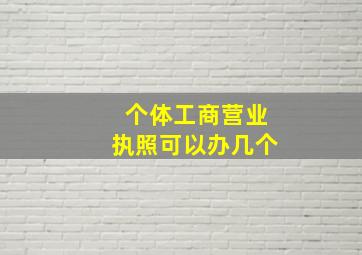 个体工商营业执照可以办几个