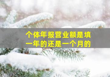 个体年报营业额是填一年的还是一个月的