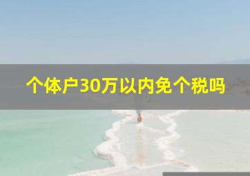 个体户30万以内免个税吗