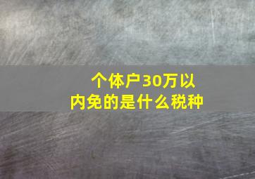 个体户30万以内免的是什么税种