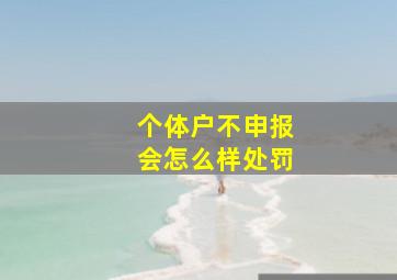 个体户不申报会怎么样处罚