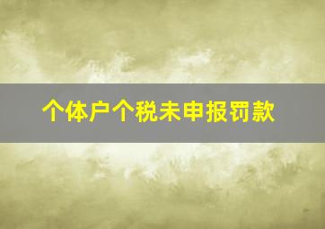 个体户个税未申报罚款